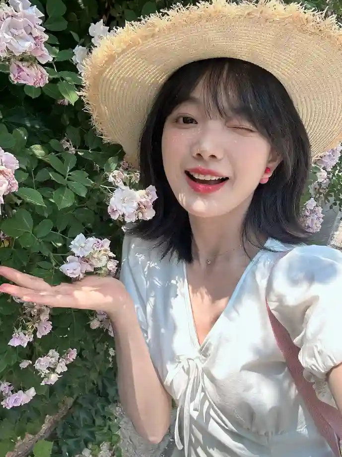 B站视频下载趋势