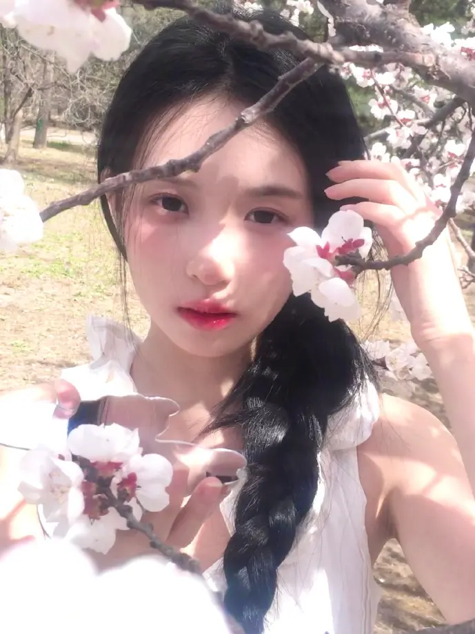 数据安全示意图